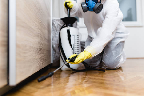 Reliable Terrytown, LA Pest Control Solutions