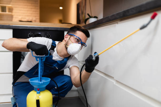 Best Pest Prevention Services  in Terrytown, LA