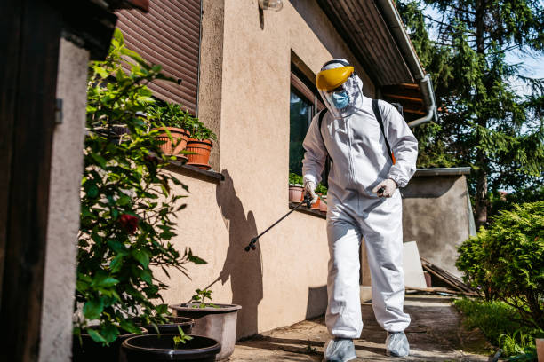 Best Emergency Pest Control  in Terrytown, LA