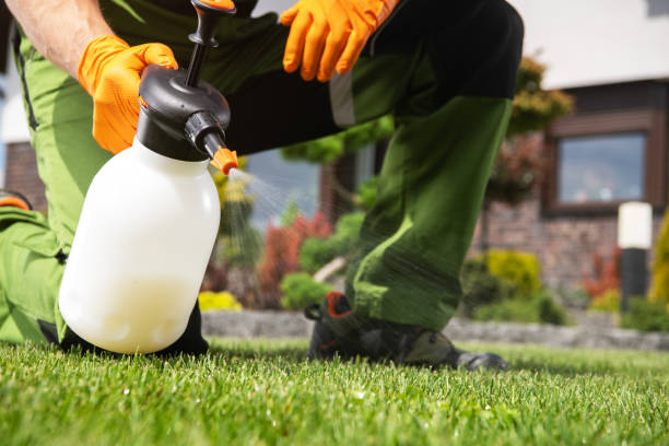 Best Wildlife Control Services  in Terrytown, LA