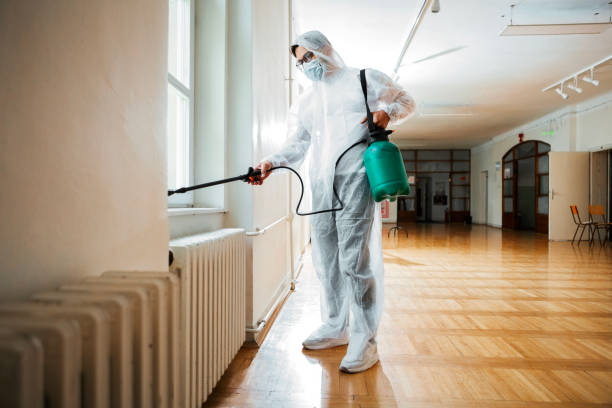 Reliable Terrytown, LA Pest Control Solutions