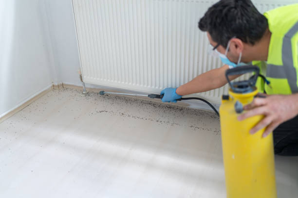 Best Pest Inspection Near Me  in Terrytown, LA