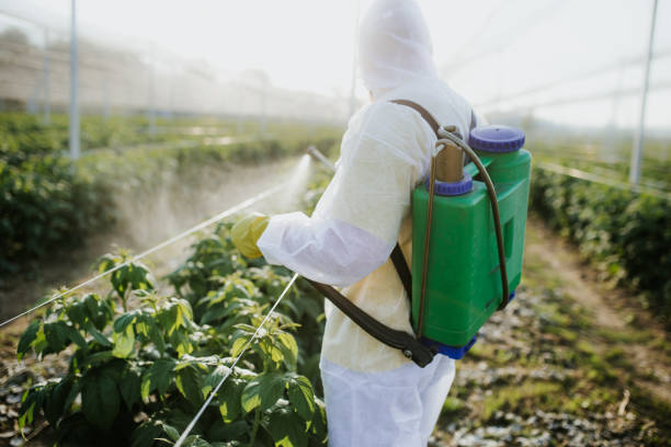 Best Commercial Pest Control Services  in Terrytown, LA